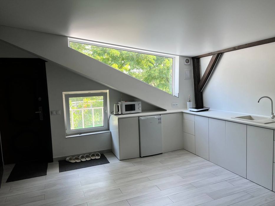 Двокімнатна квартира-лофт в центрі міста з видом на гай