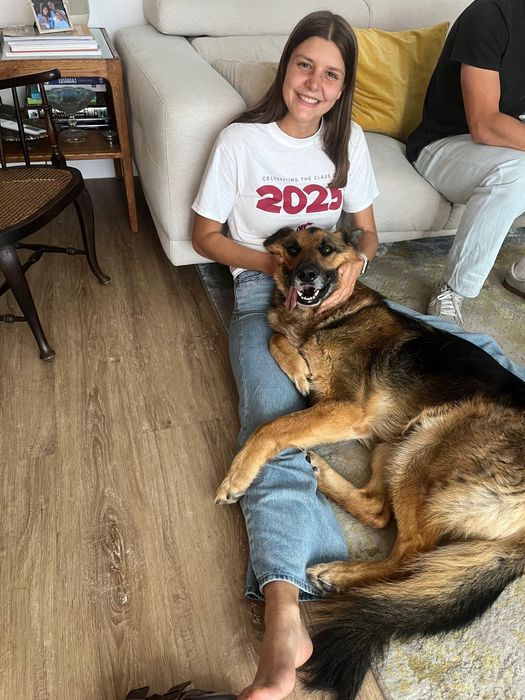 Dog walking/ Passeio de cães