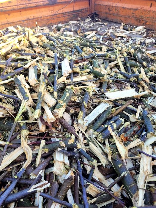 Usługi rębak, mulczer, karczowanie, wycinka, przycinanie, wykaszani