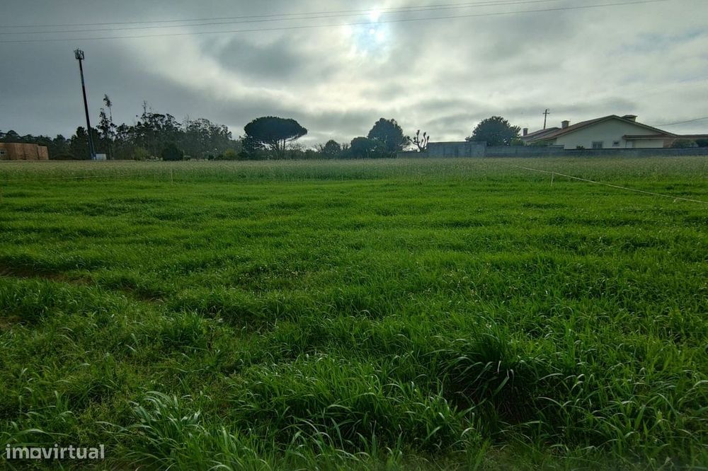Terreno 1050 m² | Mindelo – Vila do Conde — Mindelo, Porto