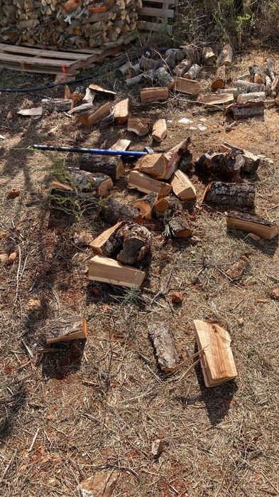 Lenha rachada para lareira. Mistura Alfarrobeira, Amendoeira e Oliveir