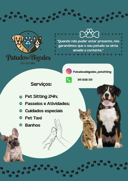 Pet Sitting de confiança - Cuido do seu patudo com carinho!