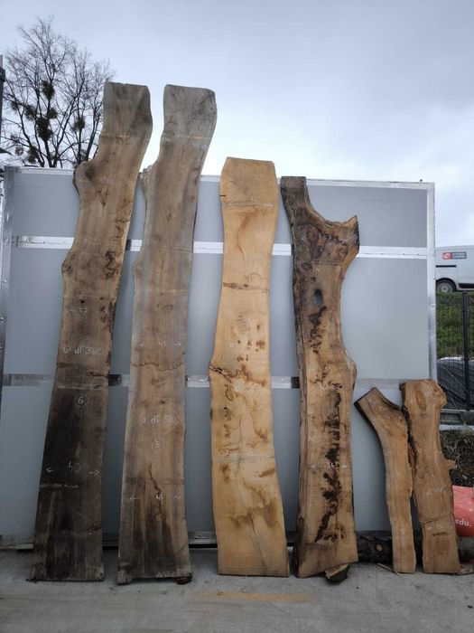 Orzech włoski tarcica deski foszty po suszarni