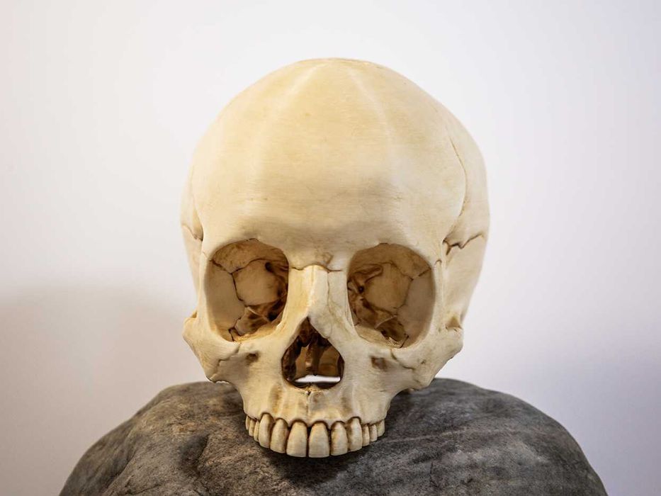 Crânio humano tamanho real -Impresso em 3D e pintado à mão - Halloween