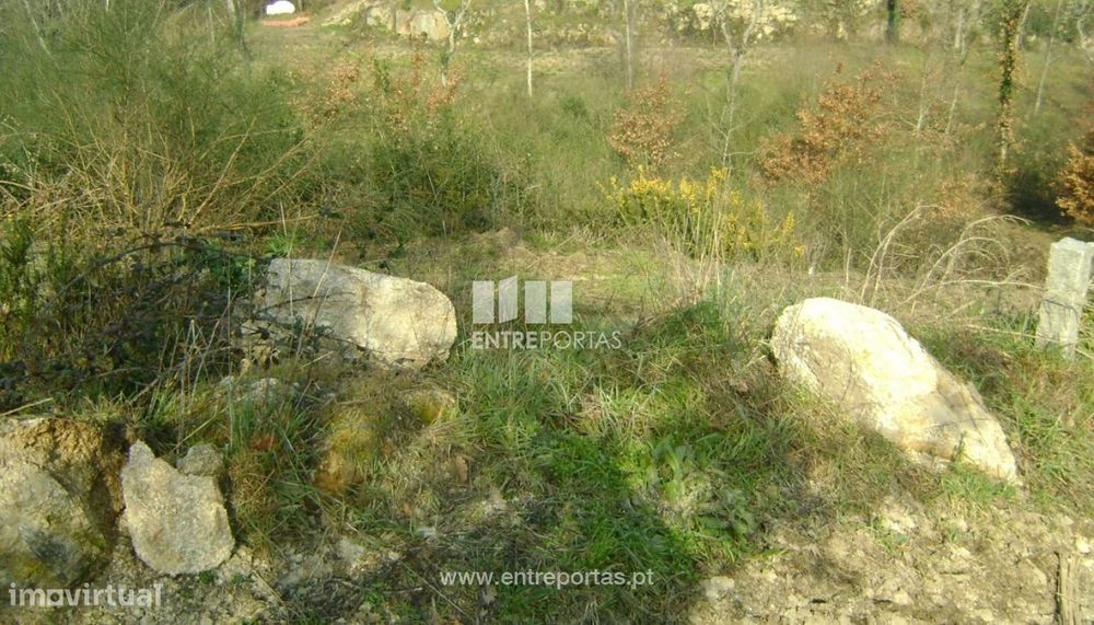 Land for Sale, Soalhães, Marco de Canaveses