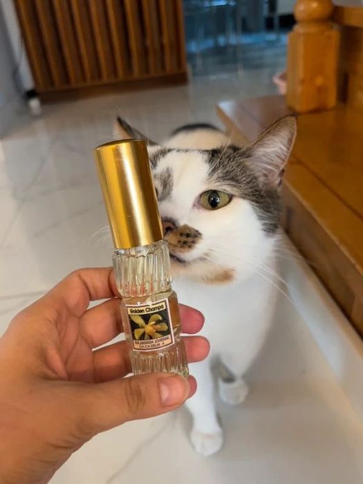 Indyjskie perfumy jaśminowe 25 ml