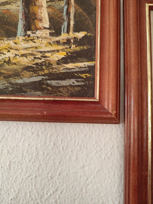 Conjunto de dois quadros