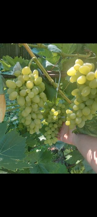 Продається будинок в хорошому стані
