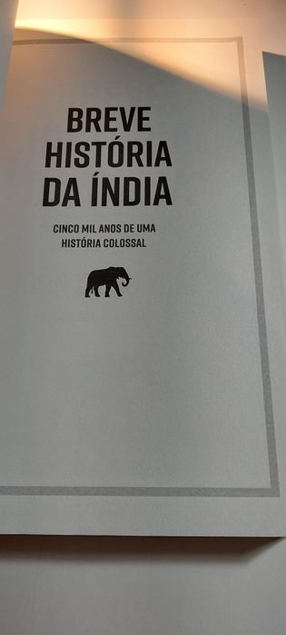 Breve História da Índia - John Zubrzycki