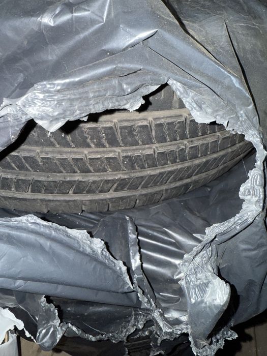 Гума всєсезон 195/65 R15