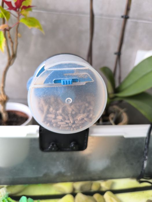 Dispensador automático comida peixes/tartaruga