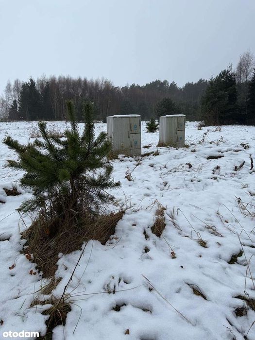Bezpośrednio, atrakcyjna działka budowlana - Bugaj, gm. Pobiedziska - Widok 2