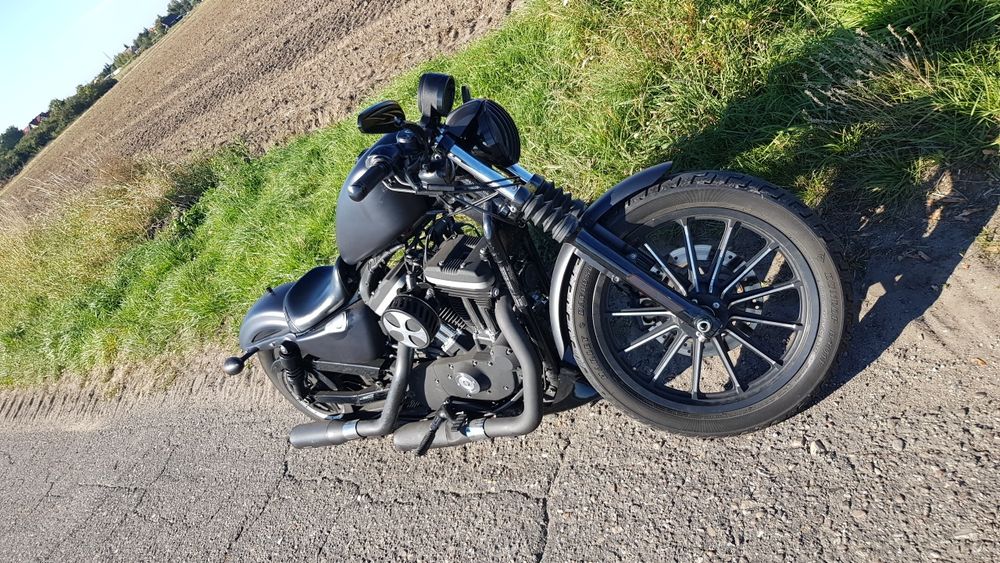 Harley Davidson Iron Sportster