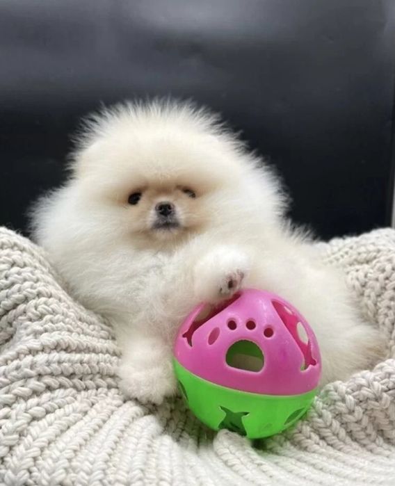 Супер-супер крохи мини