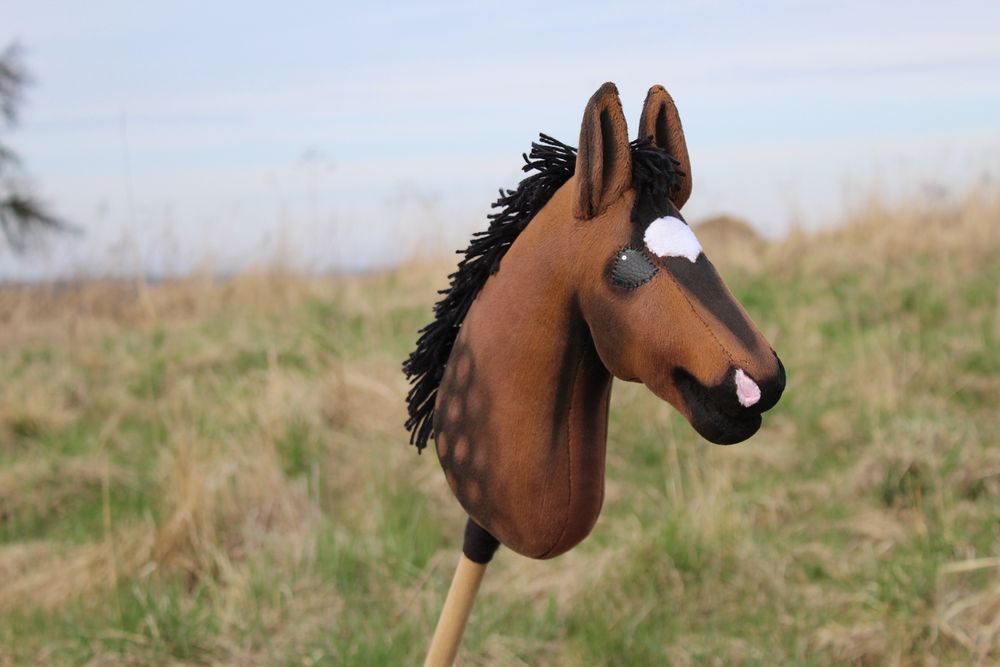 hobby horse gniady Le Pectus