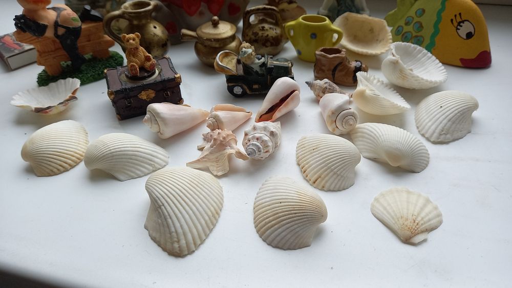 Zabawki gipsowe, muszle