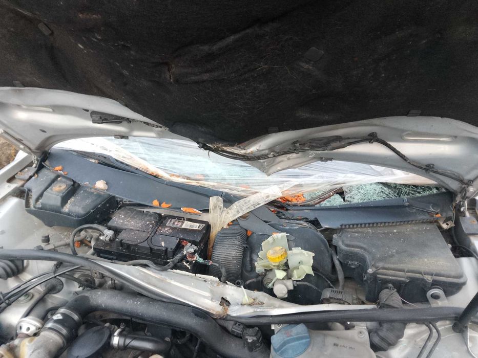 Passat Variant 1.9 TDI – Motor Impecável – Documentos em Dia