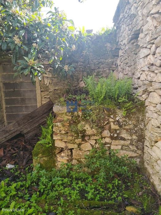 Moradia em ruina com terreno em Maxieira