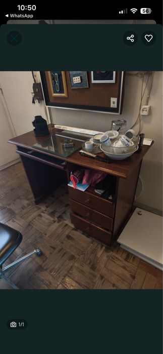 Secretaria robusta