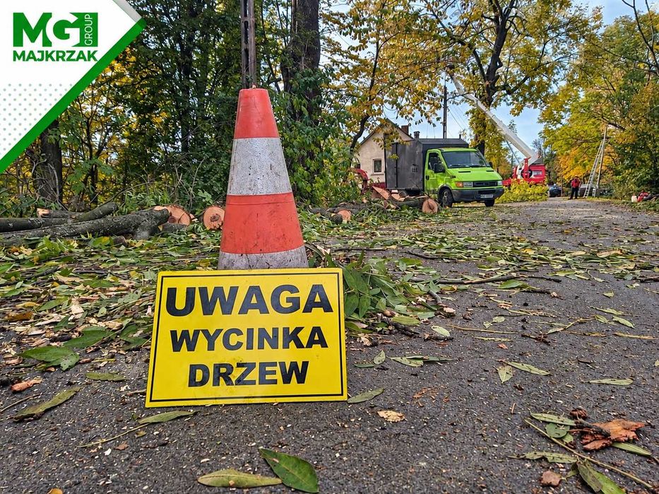 Wycinka drzew | Alpinistyczna wycinka drzew | Usuwanie drzew trudnych |Usuwanie drzew z działki | Dzierżoniów, Ząbkowice, Wałbrzych, Świdnica, Bielawa