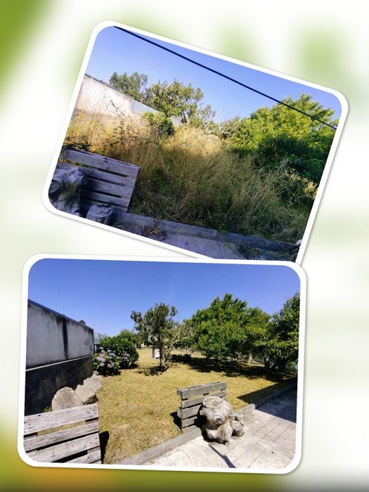 Jardineiro - Serviços de Jardinagem Porto e região