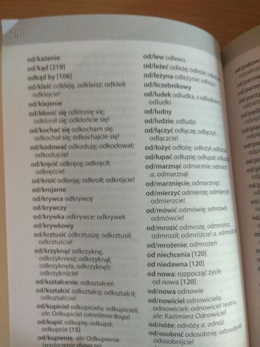 Kieszonkowy słownik ortograficzny.