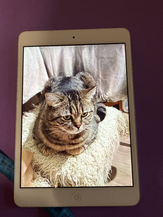 Продам робочий IPad