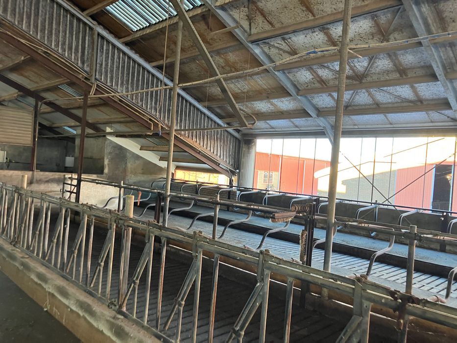 Obora budynek inwentarski 150szt ruszta konstrukcja stalowa  20x67