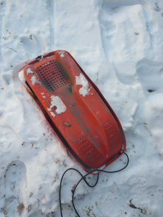 Sanki, Pabianice, 50 zł