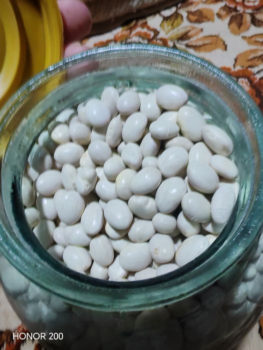 Фасоль крупная на обмен