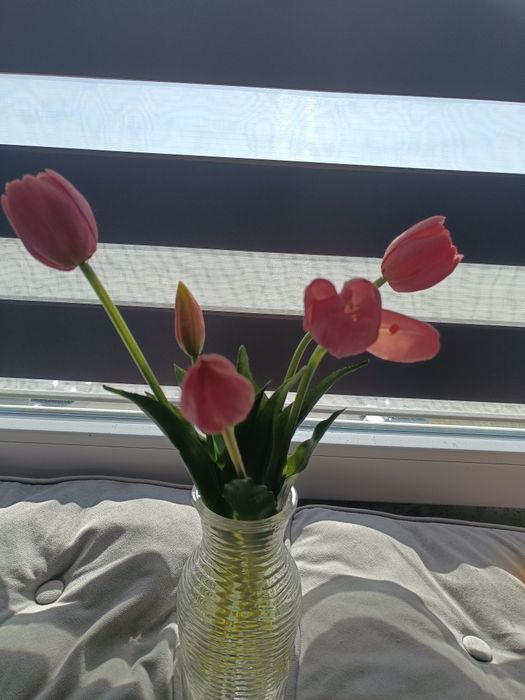 Tulipany silikon/guma