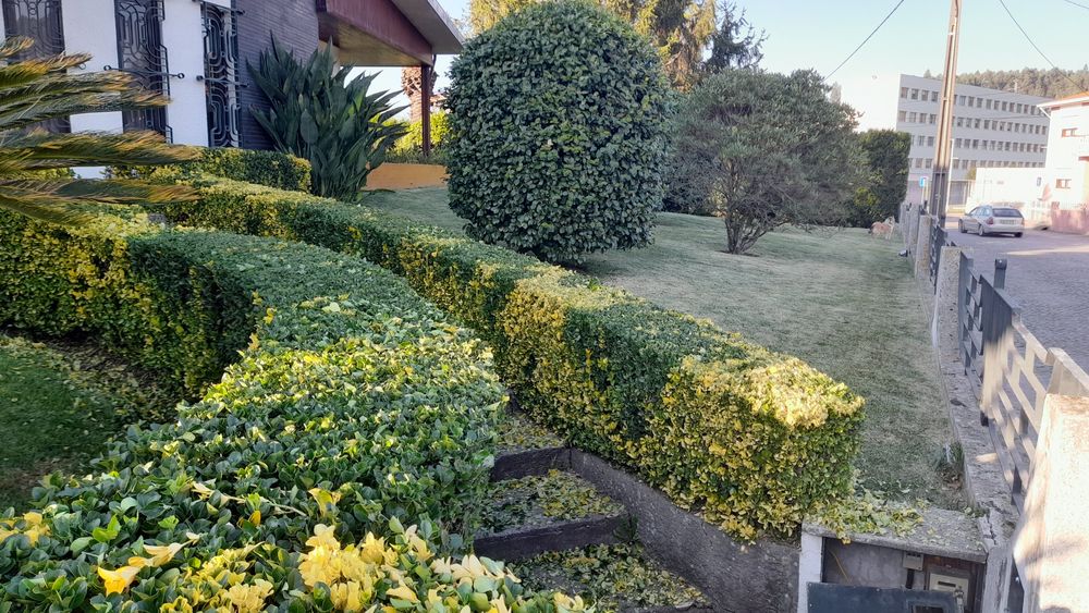 Jardinagem serviços