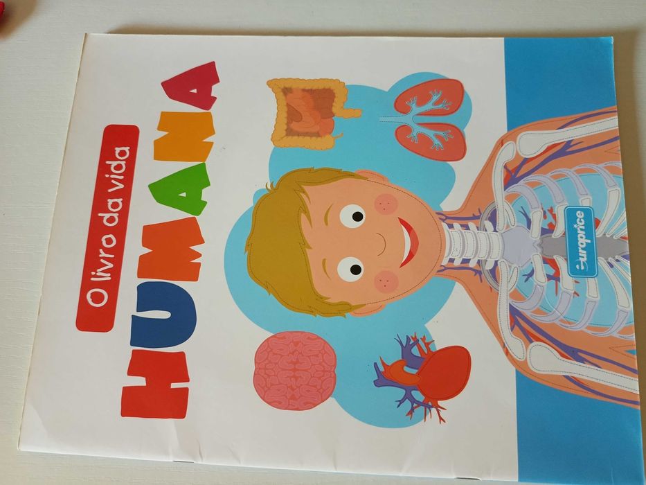 Lote de 6 livros — 1.º Ciclo / Livros educativos