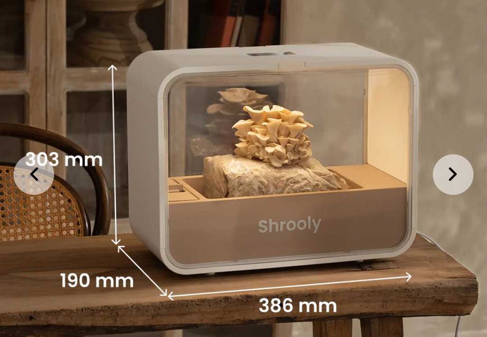 Shrooly urządzenie do uprawy grzybów