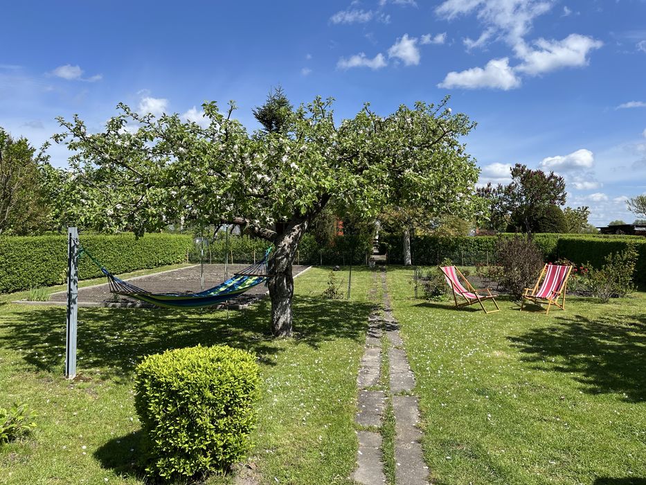 Sprzedam prawo do użytkowania działki ROD – 444 m² | Starogard Gdański (Kocborowo)