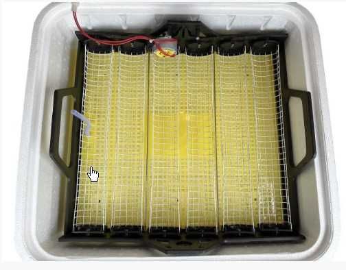 Інкубатор автомат Теплуша 88 Greeny ТАВ з вологом. , тільки 220В