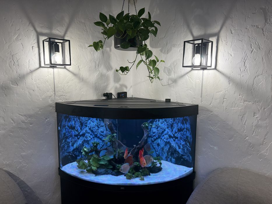 Akwarium Juwel najwyższa wersja narożne 350l Helia Lux.