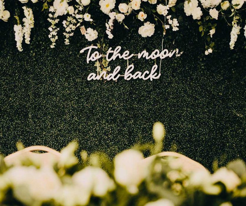 Ledon To the moon and back, napis led, neon