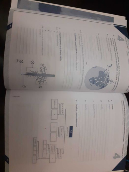Ciências da Natureza 5.º ano – Manual e caderno atividades Natura 5
