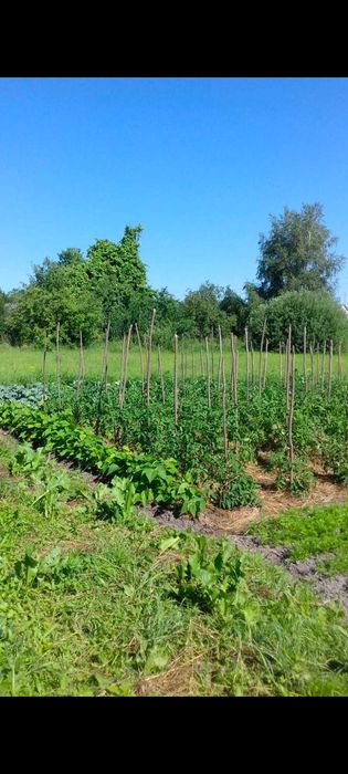 Будинок три кімнати