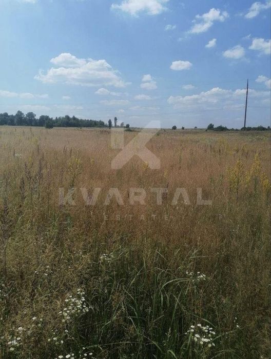 Продаж земельної ділянки ОСГ - 2,5 га в с. Мироцьке