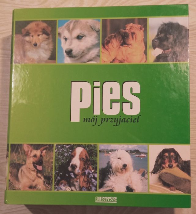 Segregatory Pies mój przyjaciel