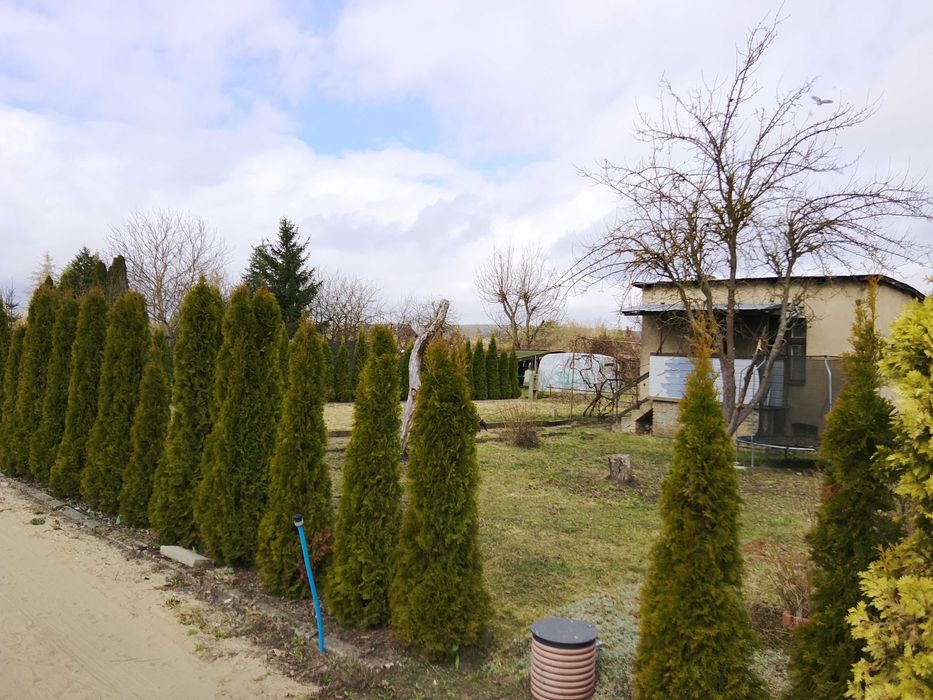 Ogródki Działkowe