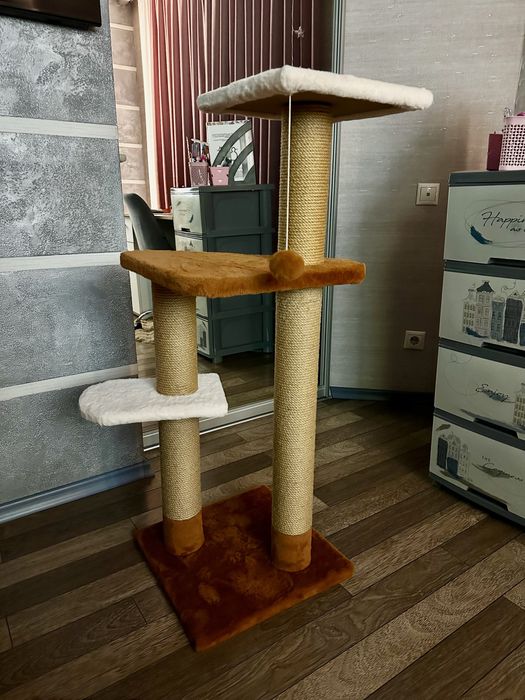 Дряпка триповерхова