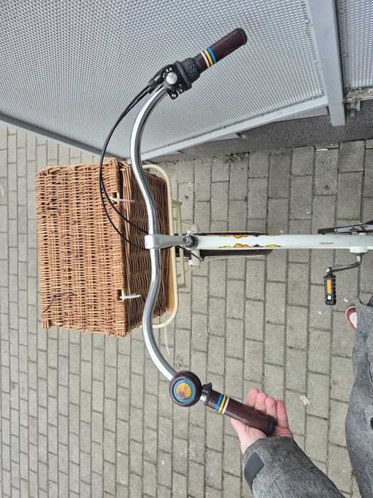 Rower Electra Cruiser