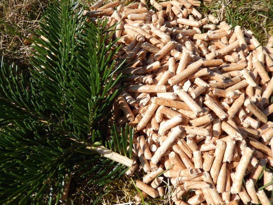 Kampellets pelet od producenta A1 Transport Gratis