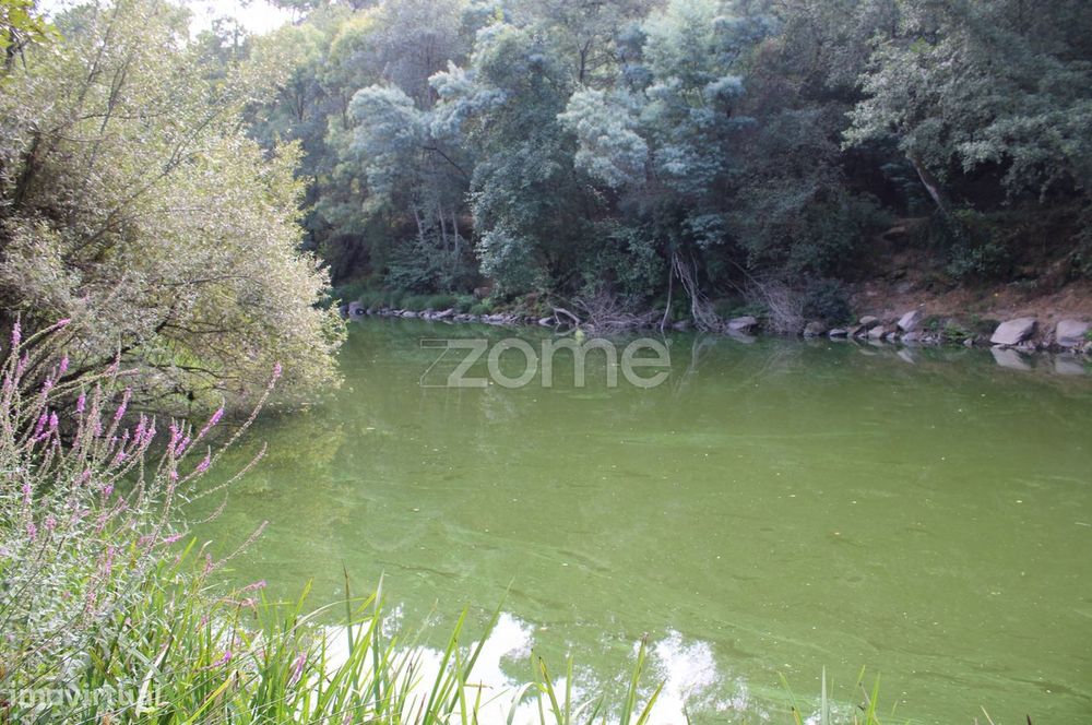 Terreno na margem do Rio Dão