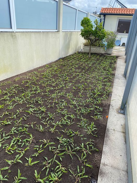 Criação e manutencao de jardins - ARCOMADEIRAS UNIPESSOAL LDA