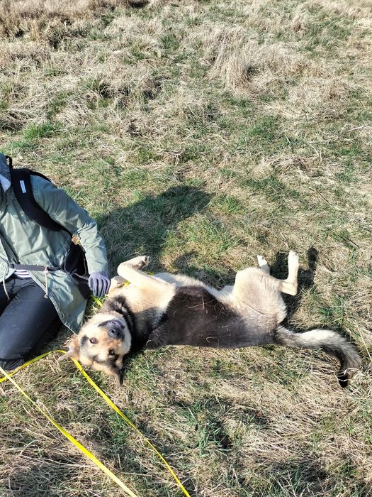 Agat szuka odpowiedzialnego domu NA ZAWSZE