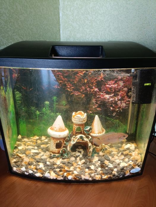 Акваріум комплект 40 л
